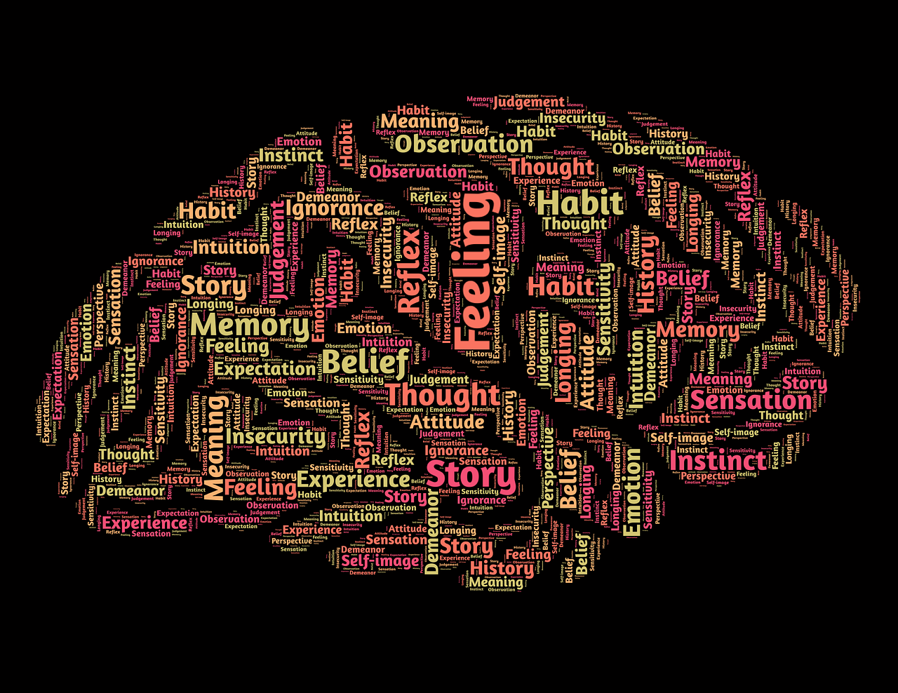 脳の取り扱い方オンライン講座―脳科学xNLP―